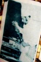 /album/fenykepgaleria/a1972-versenyen-gundel-ii-hely-jpg/